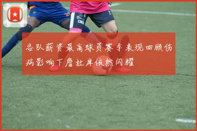 各队薪资最高球员赛季表现回顾伤病影响下詹杜库依然闪耀