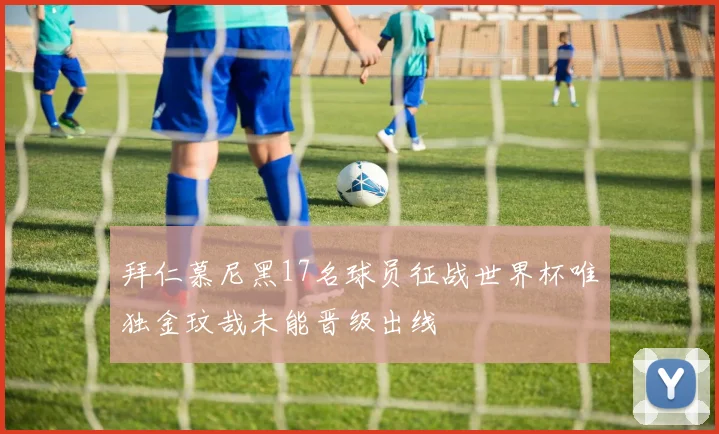 拜仁慕尼黑17名球员征战世界杯唯独金玟哉未能晋级出线